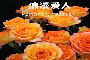 浪漫愛人Romantic Rosever